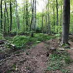 Ferienwohnungostseeblick Apartamento