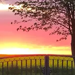 Ferienwohnungostseeblick Lägenhet
