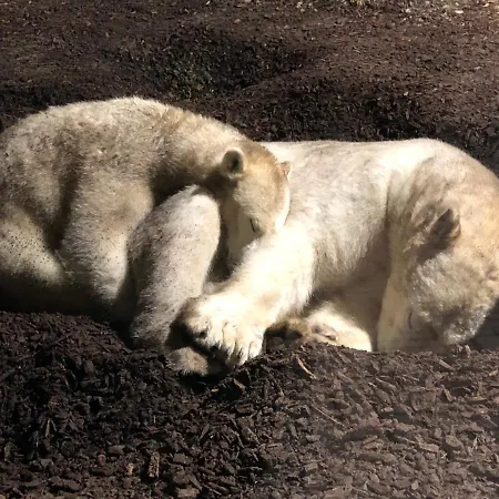 Appartement Ferienwohnungostseeblick