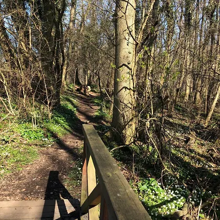 Ferienwohnungostseeblick *