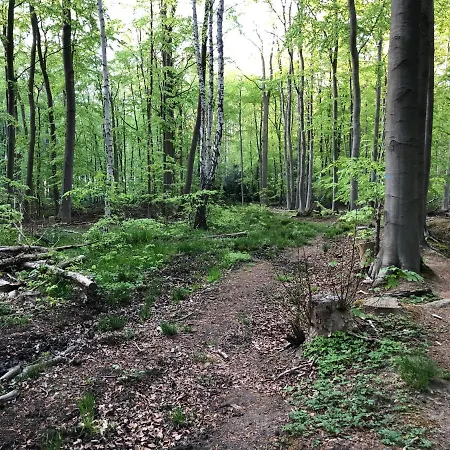 Ferienwohnungostseeblick Daire