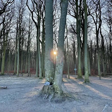 Ferienwohnungostseeblick *