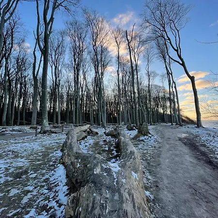 Ferienwohnungostseeblick