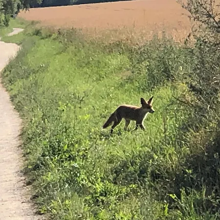 Ferienwohnungostseeblick * Börgerende-Rethwisch
