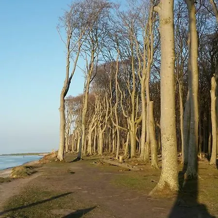 Ferienwohnungostseeblick Börgerende-Rethwisch