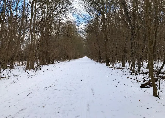 Lejlighed Ferienwohnungostseeblick