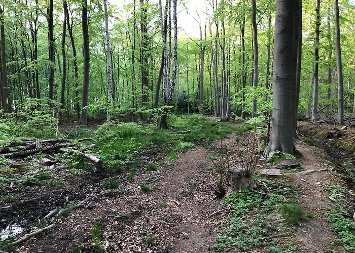 Ferienwohnungostseeblick Lejlighed