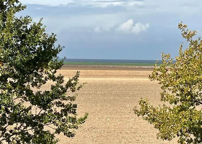 Ferienwohnungostseeblick Lejlighed