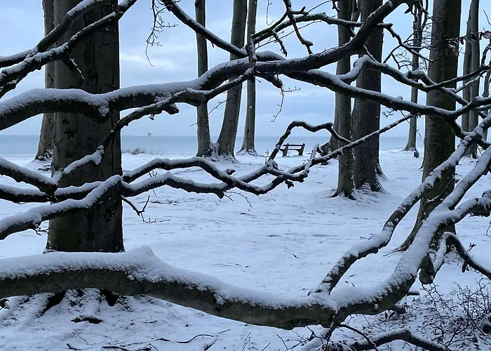Ferienwohnungostseeblick Börgerende-Rethwisch