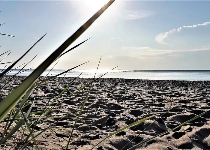 Ferienwohnungostseeblick